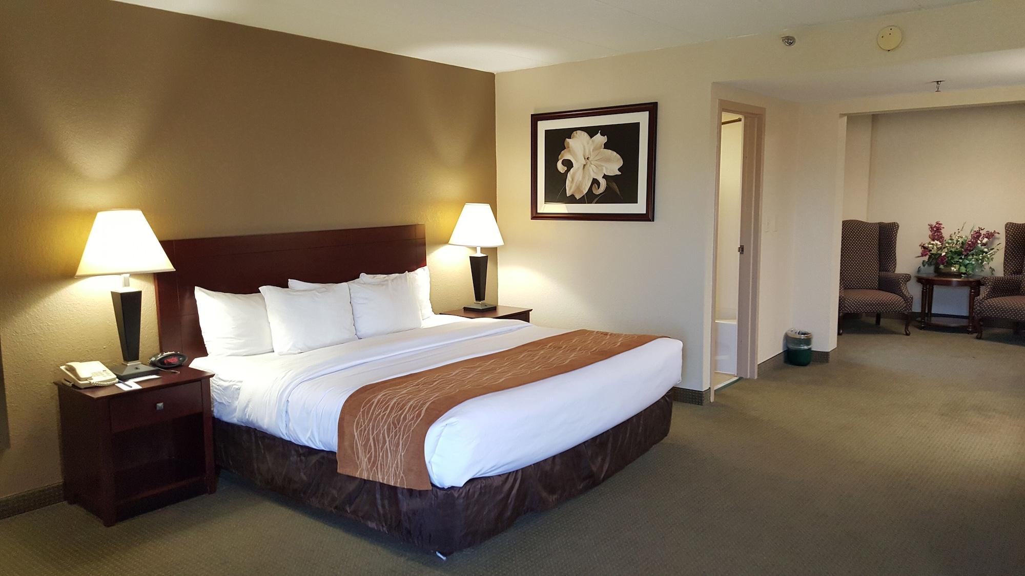 Comfort Inn Northeast Mason Exterior foto
